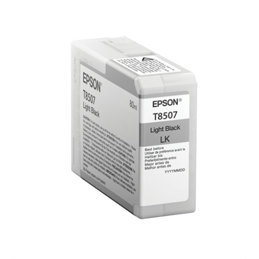 Epson T850700 Epson 850 Light Black Original Ink Cartridge