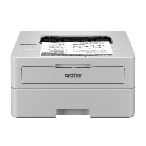 Brother HLL2865DW Imprimante Monochrome